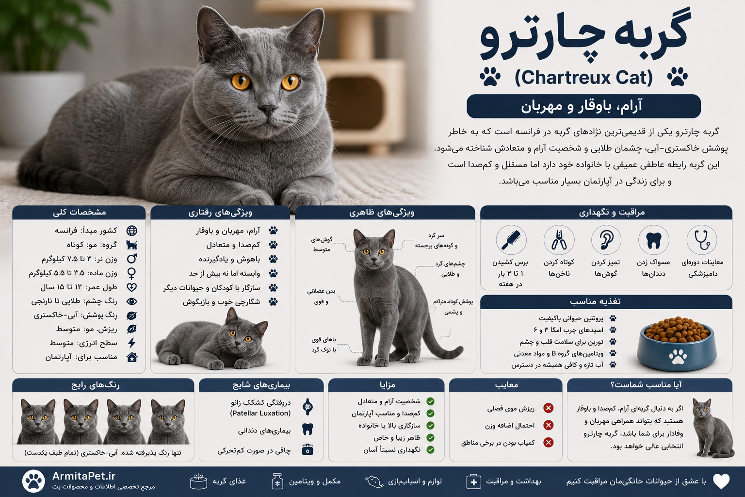 معرفی گربه چارترو.png