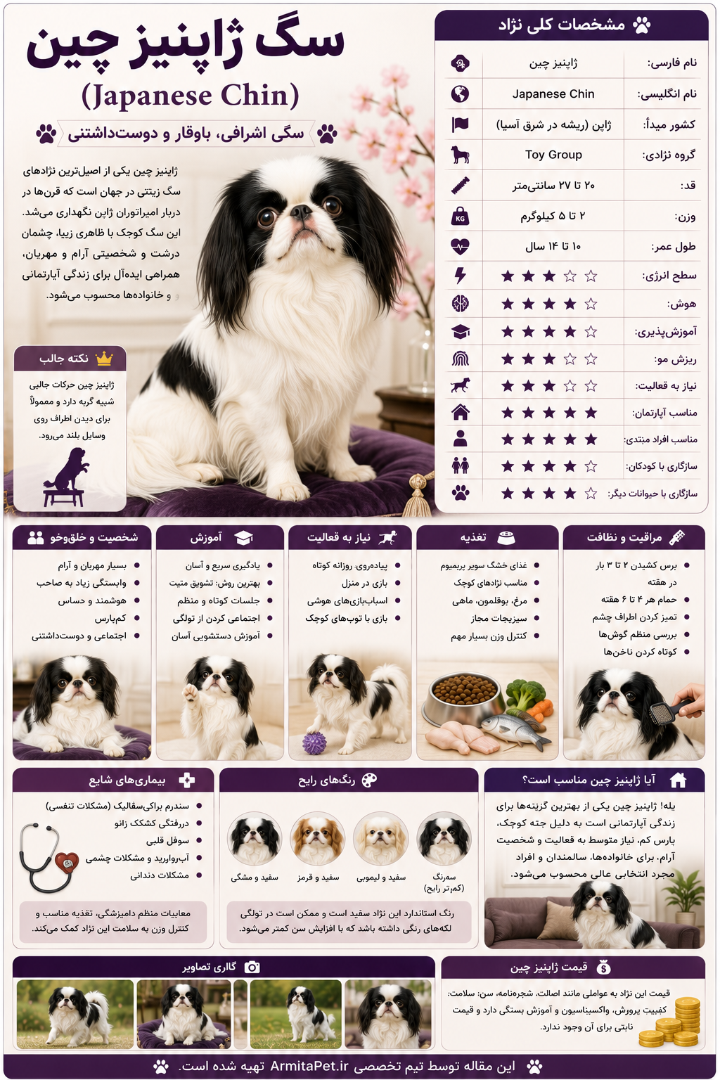 japanese-chin.png
