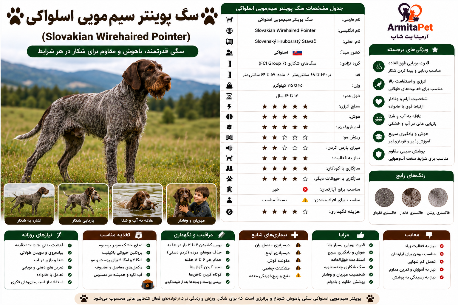 معرفی سگ پوینتر سیم‌مویی اسلواکی.png