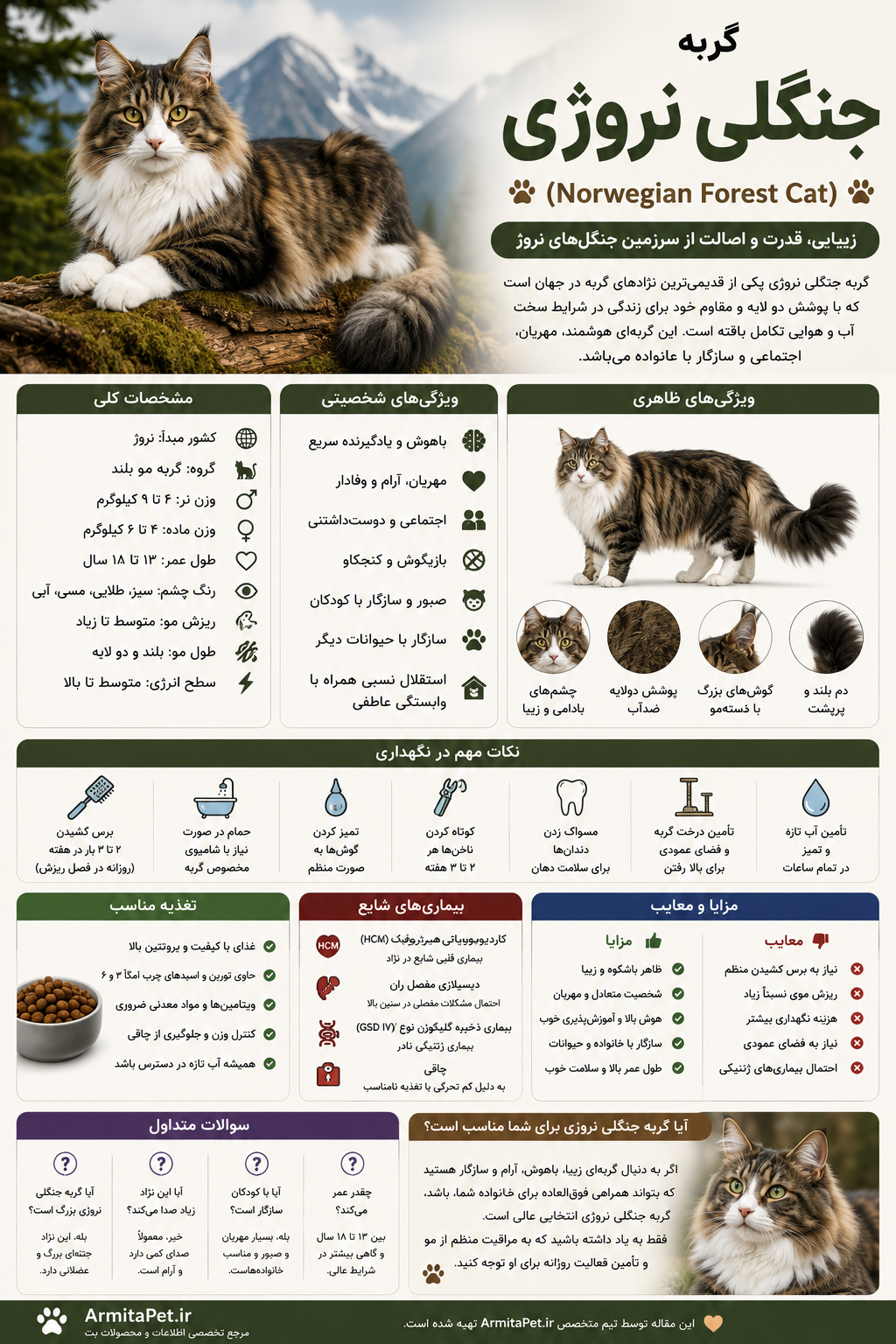 گربه جنگلی نروژی.png