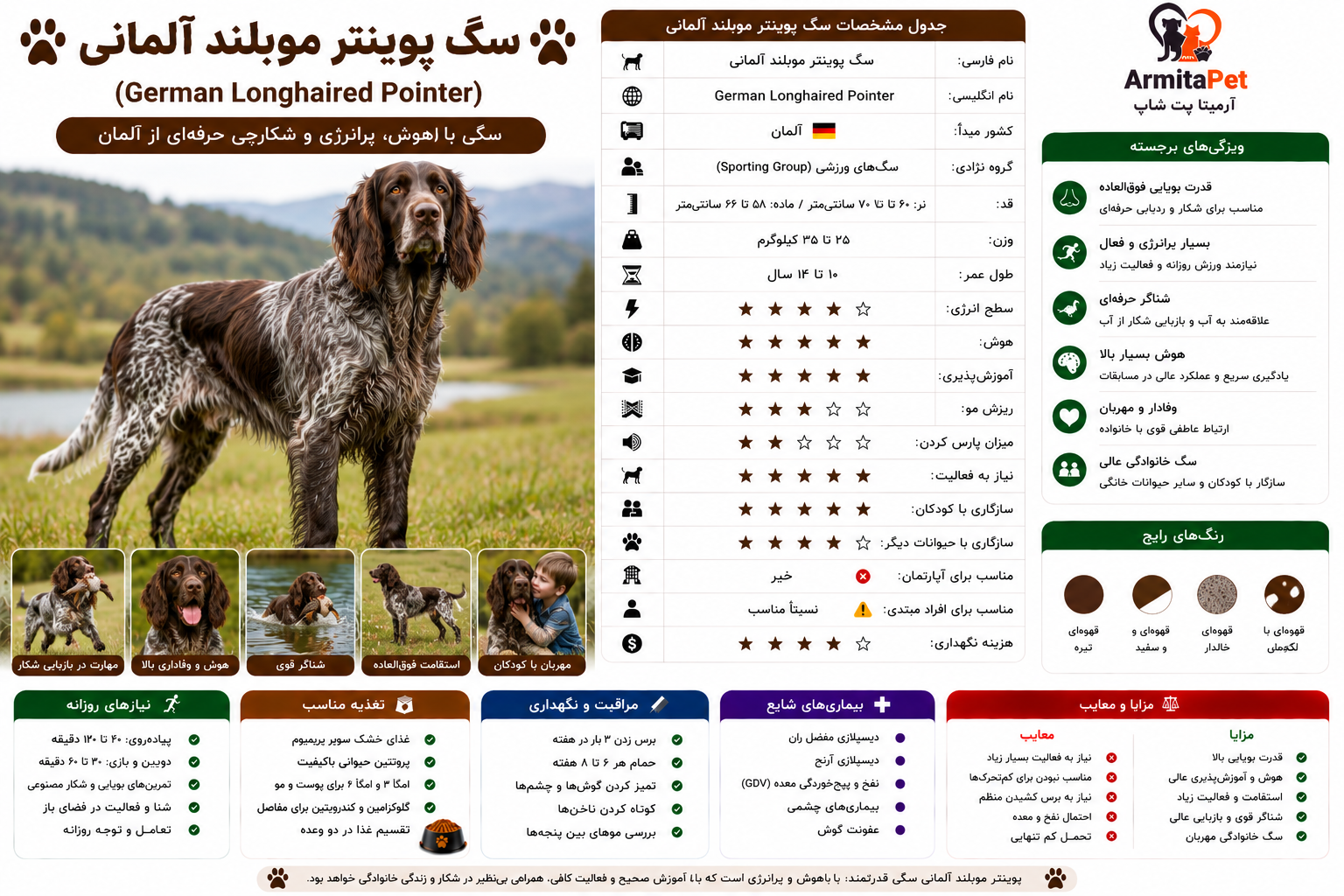 سگ پوینتر مو‌بلند آلمانی.png