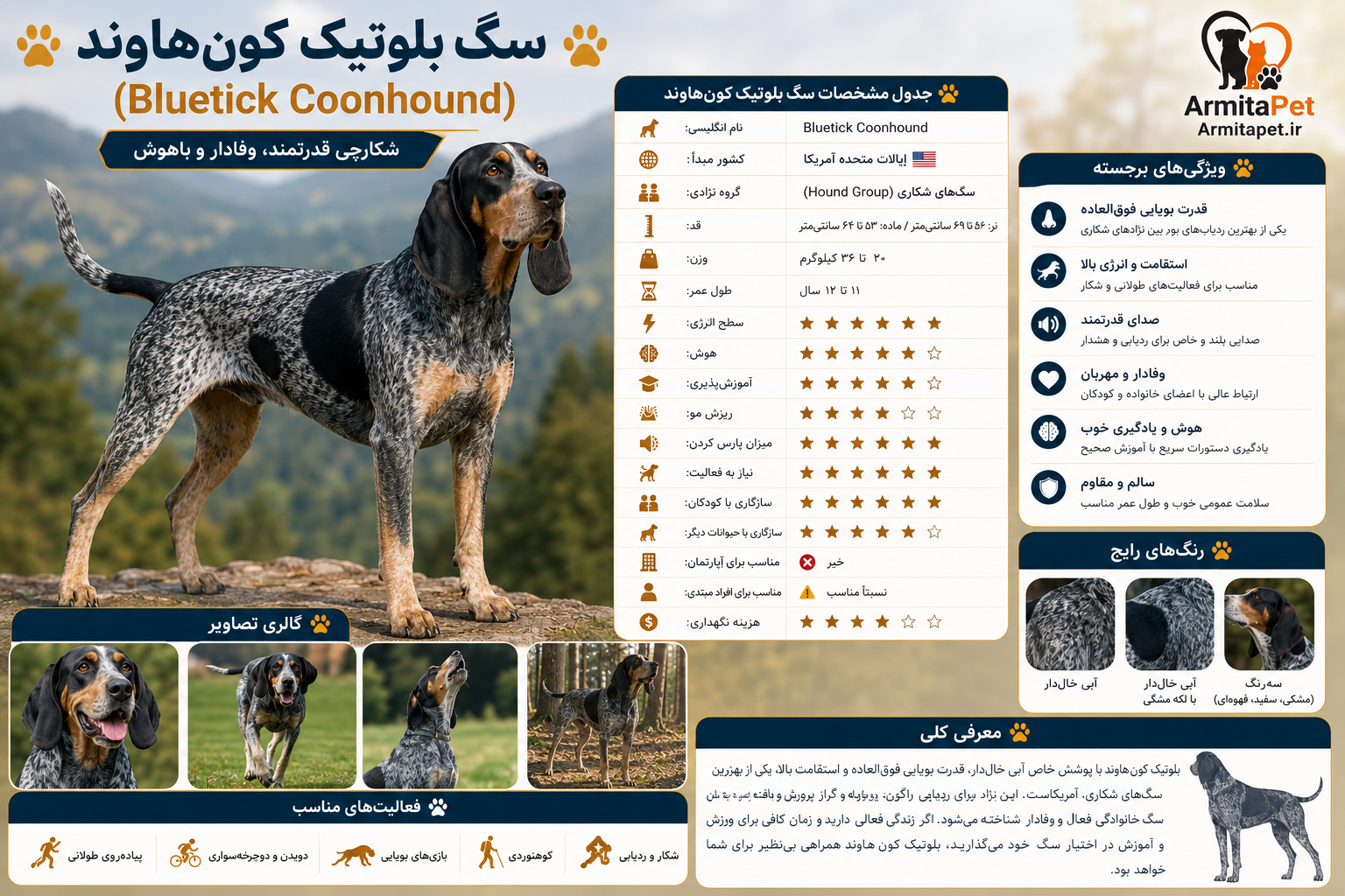معرفی کامل سگ بلوتیک کون‌هاوند (Bluetick Coonhound).png