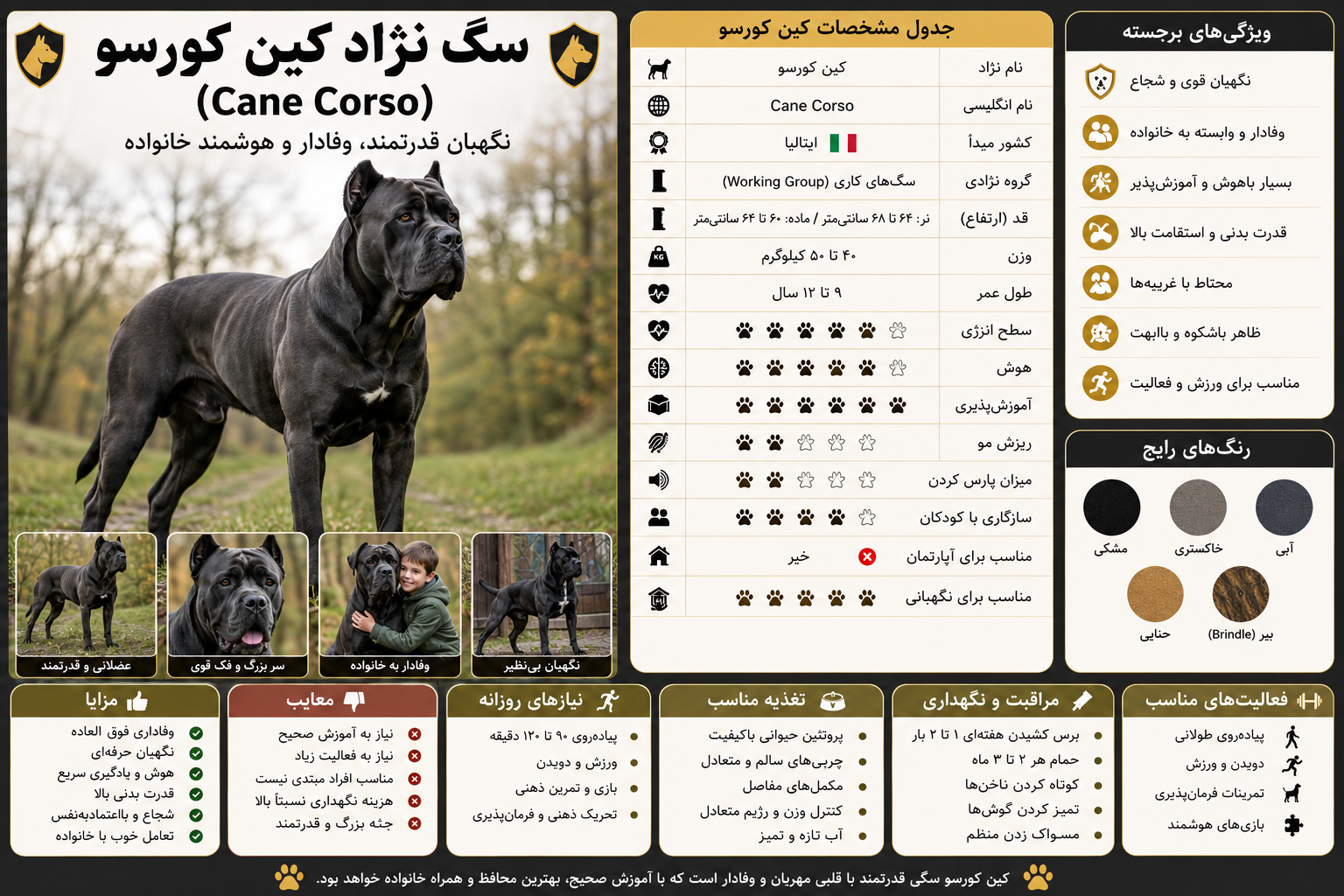 کین کورسو؛.png