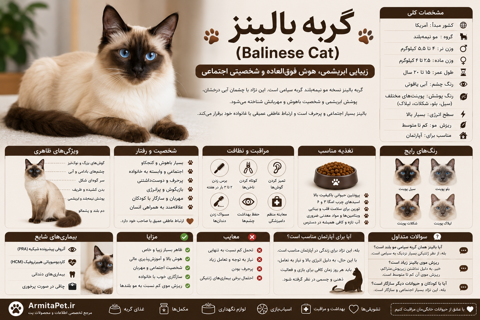 معرفی گربه بالینز.png