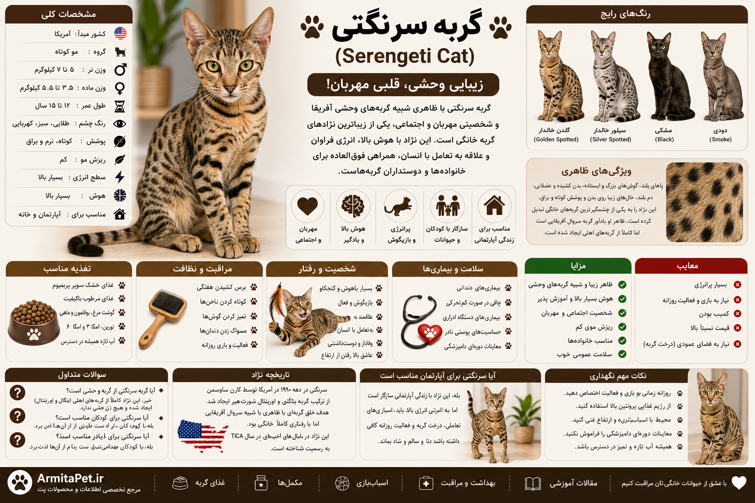 معرفی گربه سرنگتی.png