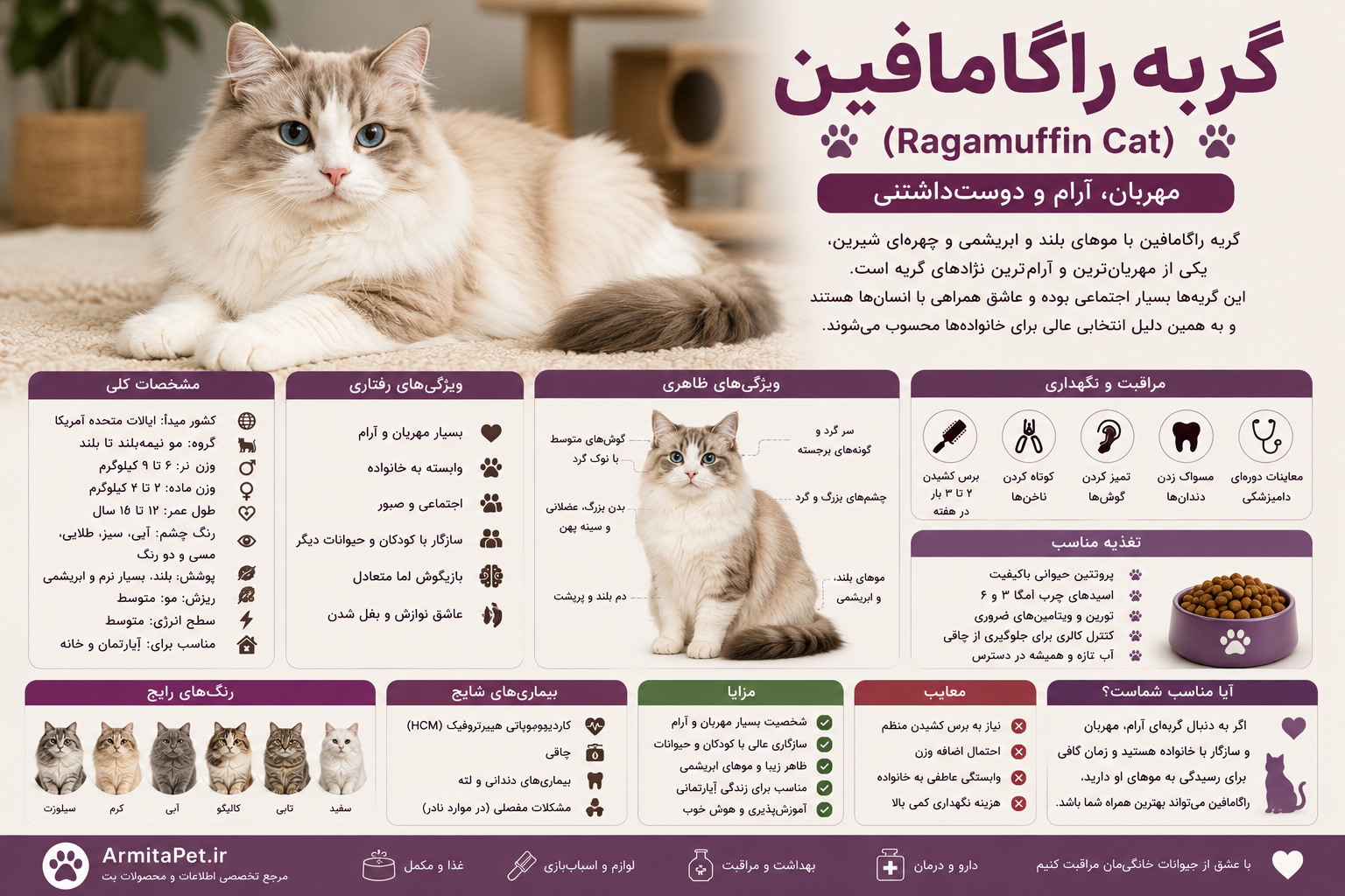 معرفی گربه راگامافین.png