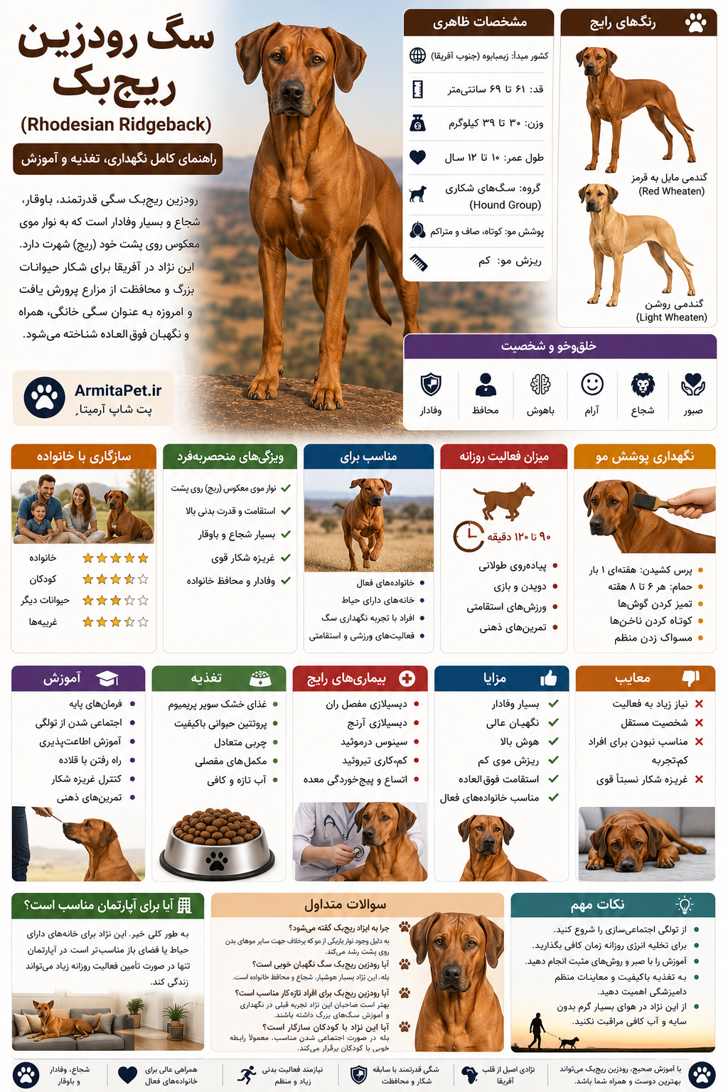 سگ رودزین ریج‌بک (Rhodesian Ridgeback).png