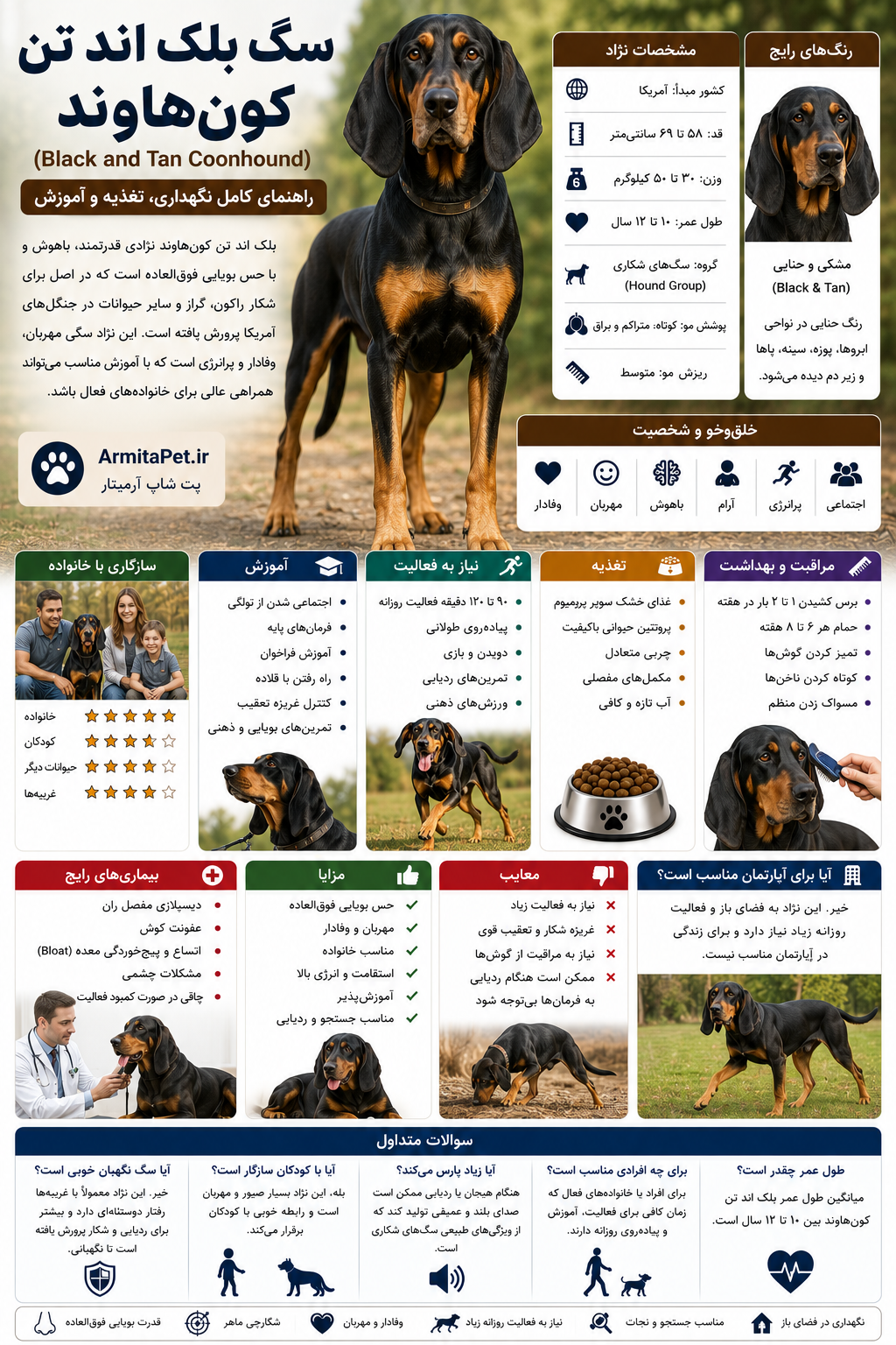 سگ بلک اند تن کون‌هاوند (Black and Tan Coonhound).png