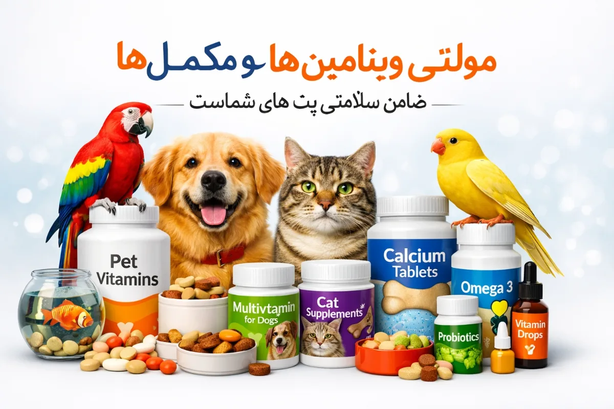 مراقبت از سگ و گربه در فصل سرما 