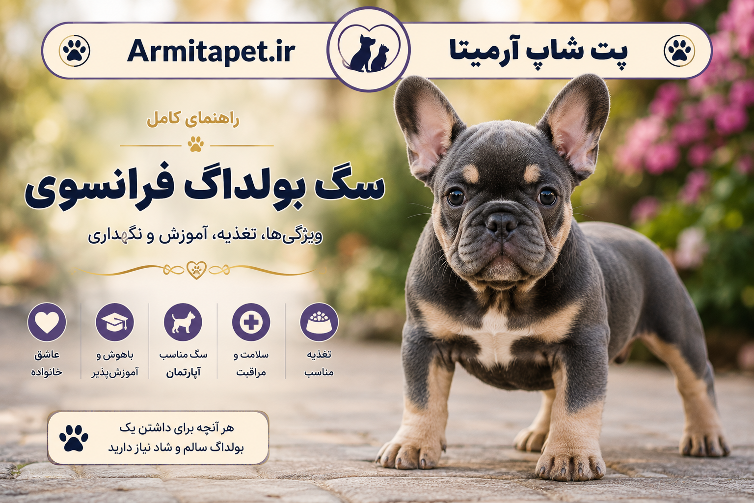 سگ بولداگ فرانسوی | راهنمای کامل نگهداری، تغذیه، آموزش و بیماری‌ها