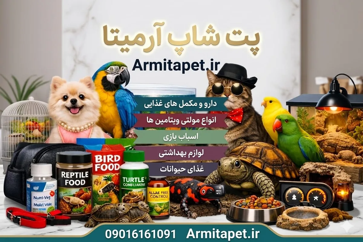 علت بوی بد دهان سگ چیست؟ | بررسی دلایل، روشهای درمان و پیشگیری