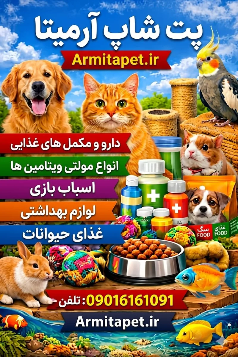 برنامه واکسیناسیون گربه | زمان‌بندی کامل واکسن بچه گربه و گربه بالغ