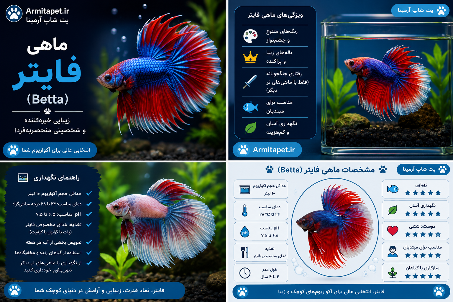 ماهی فایتر (Betta) |معرفی کامل راهنمای نگهداری، تغذیه و مراقبت