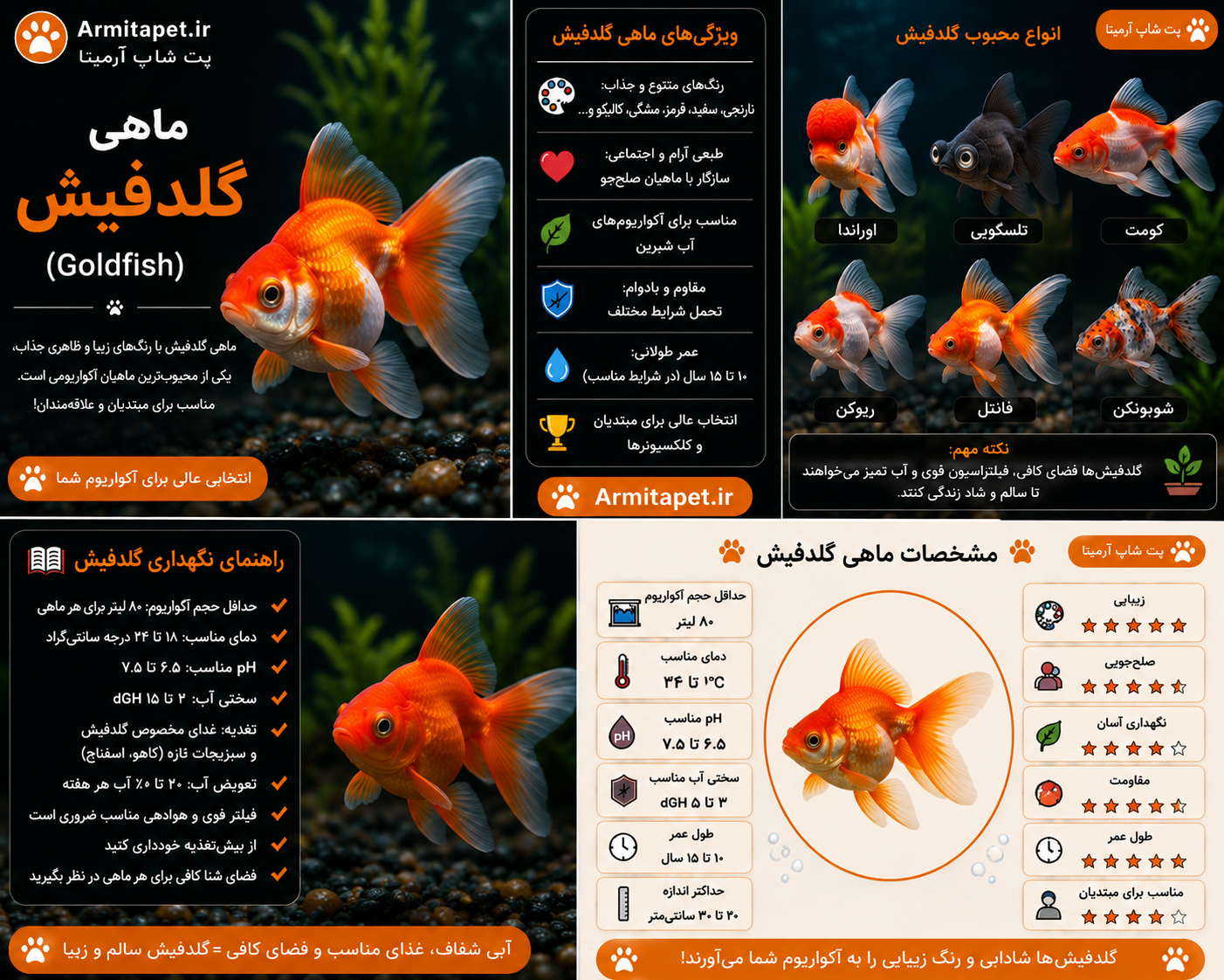 ماهی گلدفیش | راهنمای کامل نگهداری، تغذیه، بیماری‌ها و انواع ماهی قرمز