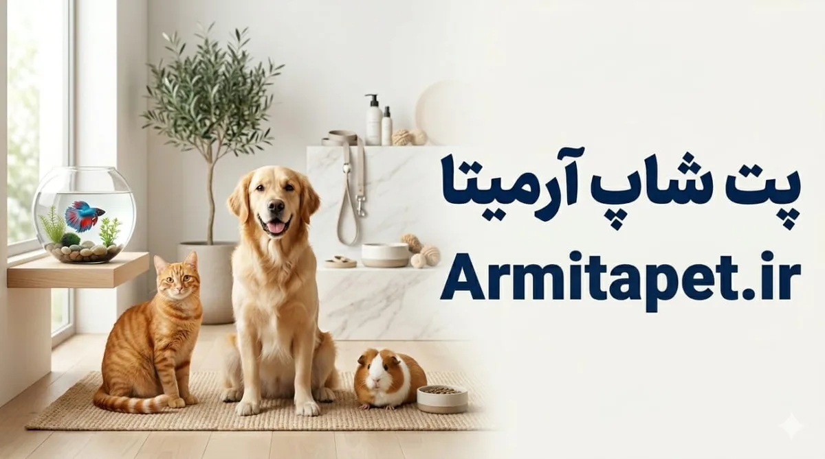 راهنمای انتخاب غذای خشک گربه | بهترین غذای خشک برای گربه چیست؟