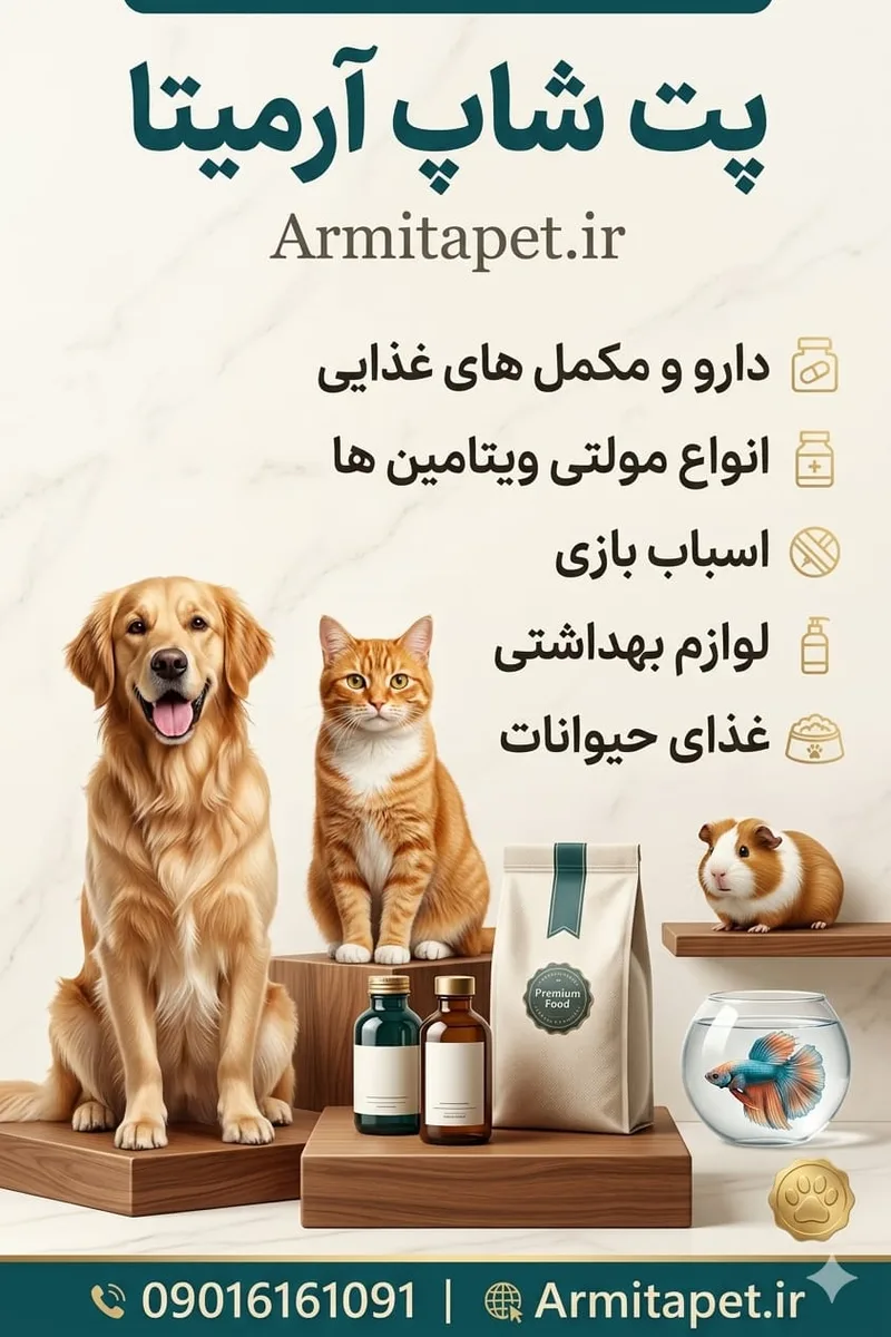 راهنمای کامل تغذیه سگ در سنین مختلف | از تولگی تا سالمندی